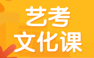 深圳南山艺考文化小班课