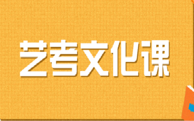 深圳福田艺考文化课培训班