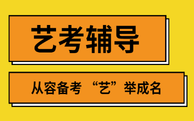 武汉艺考文化课补习