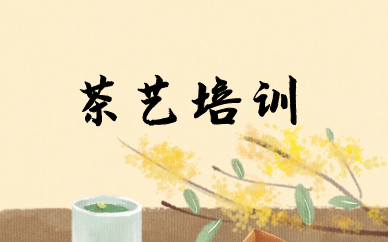 北京朝阳秦汉胡同茶艺培训