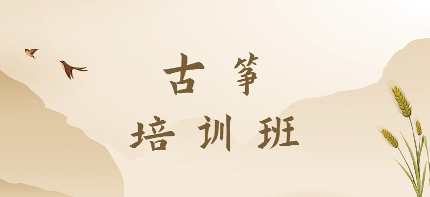 北京丰台专业的古筝培训机构推荐