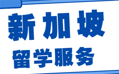 南京新加坡留学服务