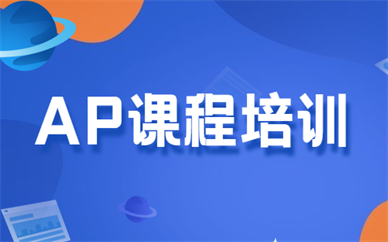 大连朗阁AP课程辅导