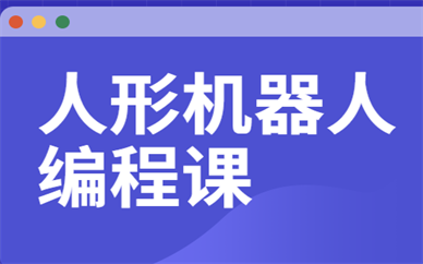 南宁乐博乐博人形机器人