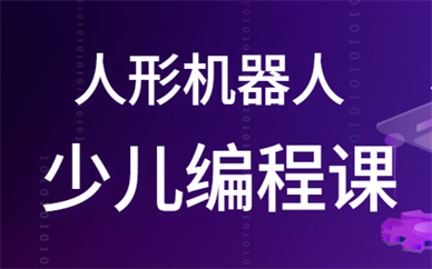 济南历下乐博乐博人形机器人