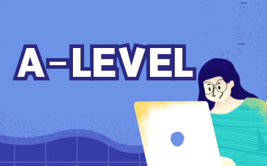 济南市中A-Level1对1培训课程