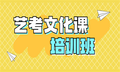 深圳福田百花艺考文化课培训