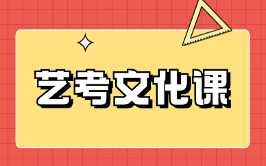广州番禺艺考文化课冲刺辅导班