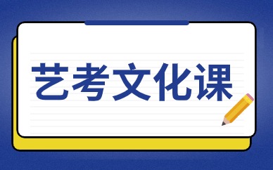 苏州沧浪区艺考文化课冲刺辅导班