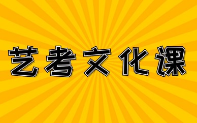 洛阳艺考文化课冲刺辅导班